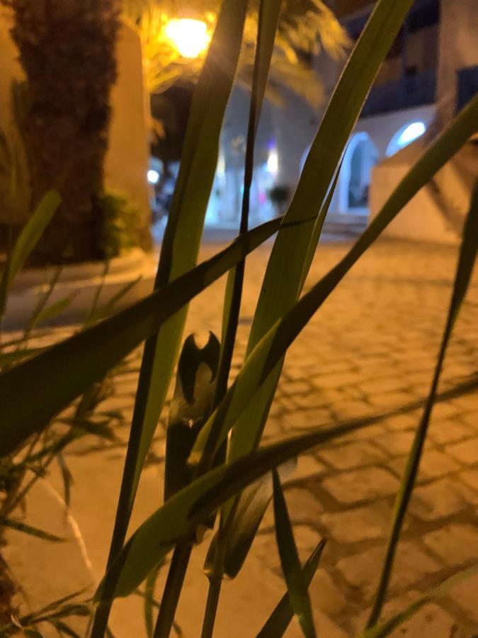 Bed and Breakfast Dar Lola Djerba Houmt Souk  Exterior foto